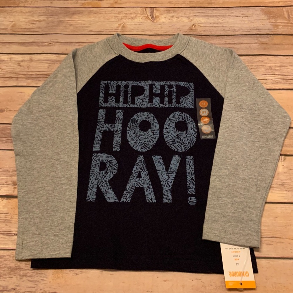 Gymboree Hip Hip Hooray Shirt